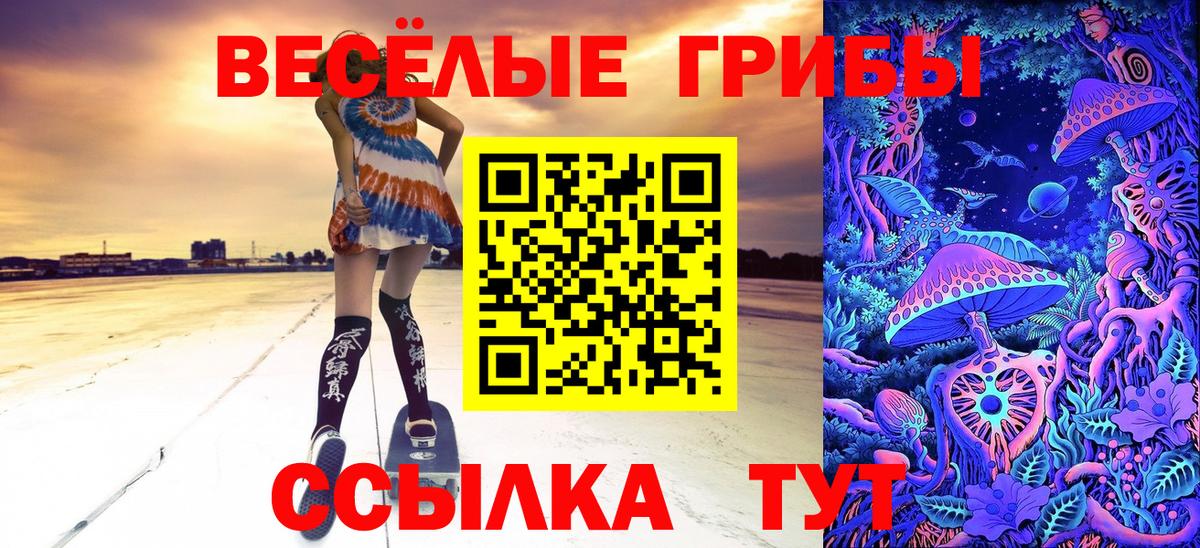 Псилоцибиновые грибы мицелий Тобольск