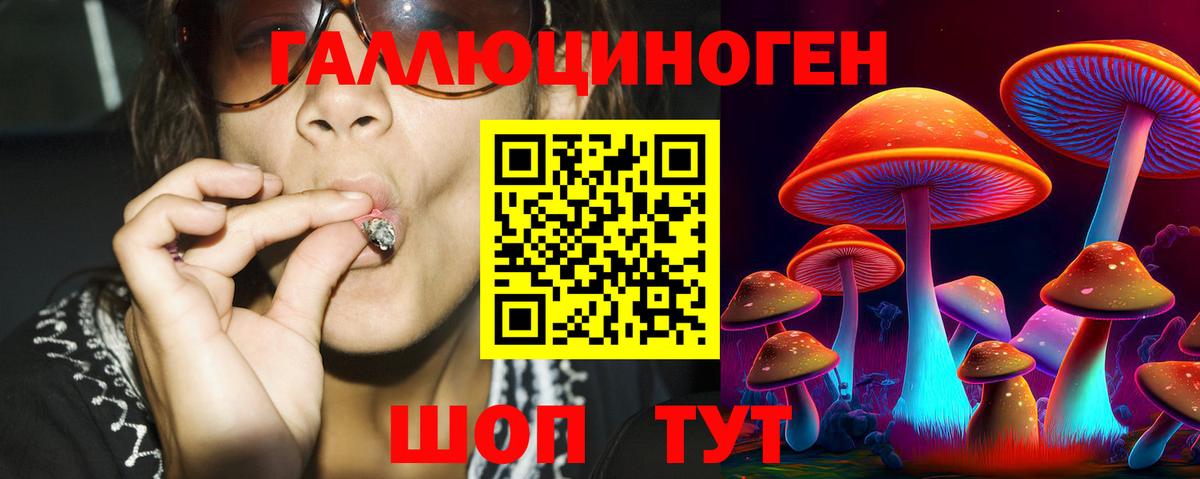 Тобольск  Псилоцибиновые грибы Cubensis  Вход с VPN 